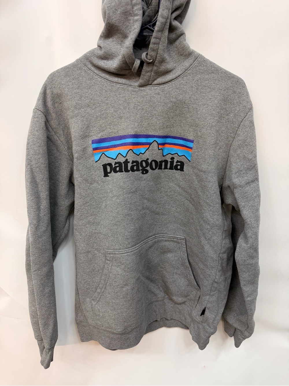 Patagonia Men's Gray Hoodie with Mountain Logo Mens size large